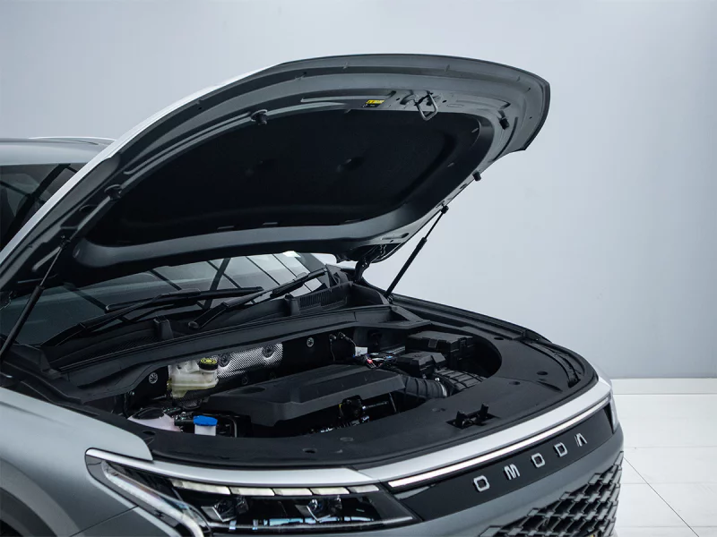 Vehicle Image for 17/36for OMODA C9 2.0T Inspire