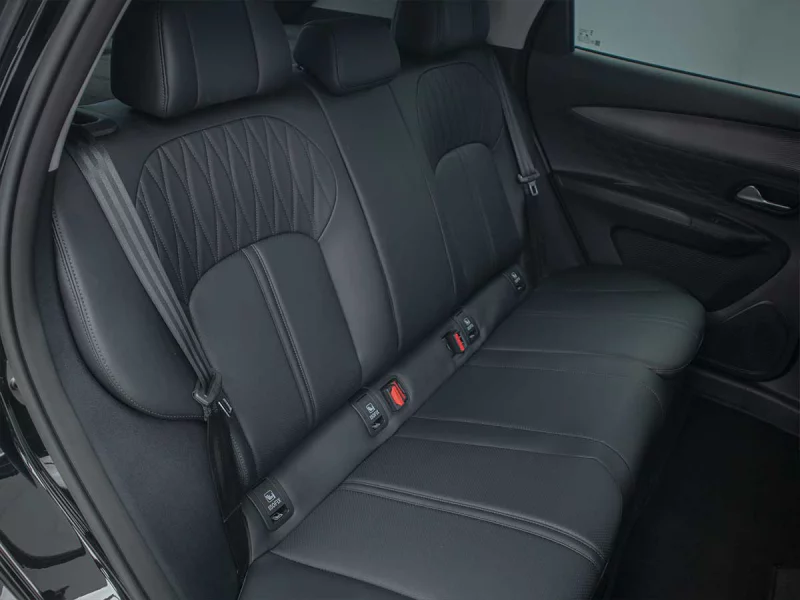 Vehicle Image for 22/23for Lepas L4 1.5T Pantera DCT