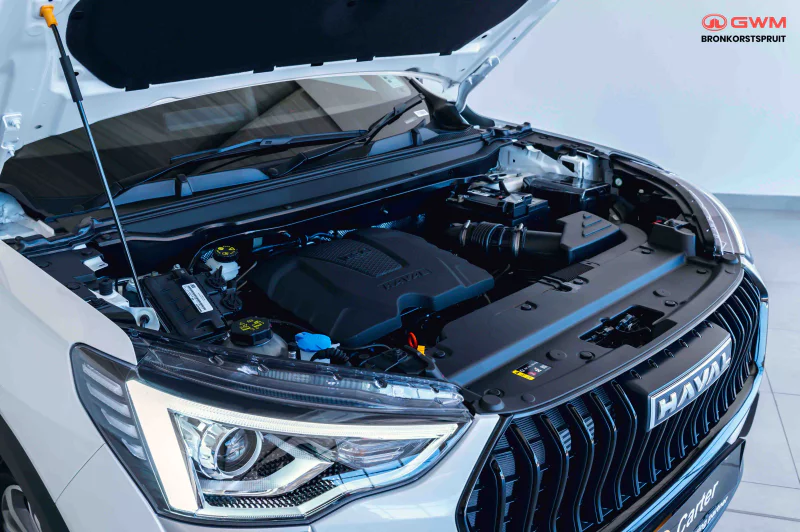Vehicle Image for 17/24for Haval Jolion 1.5T City Plus 7DCT